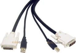 14178: Connect Your PCs To A USB/DVI KVM With Just One Cable