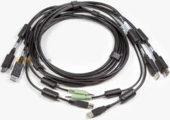 CBL0106: Connect A Computer With Two DisplayPort Video Ports To A Dual-screen KVM Switch